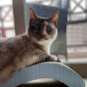 Meet your Posher, Kenneth